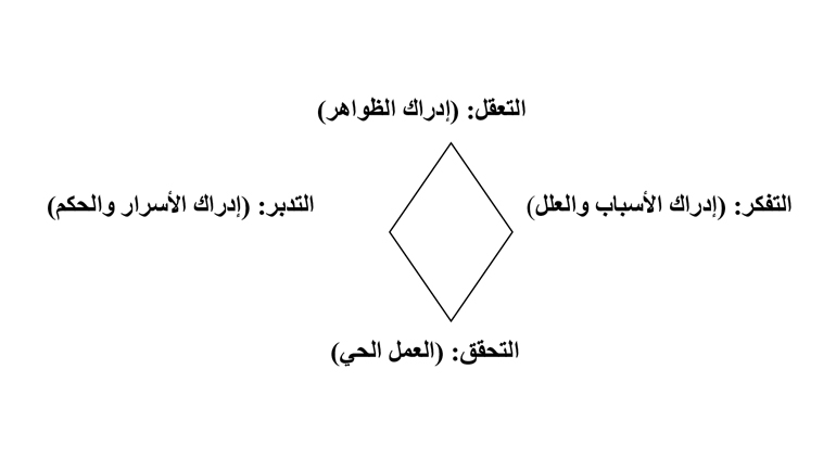 القرآن الكريم وتجديد العلوم الإسلامية.. مداخل منهجية